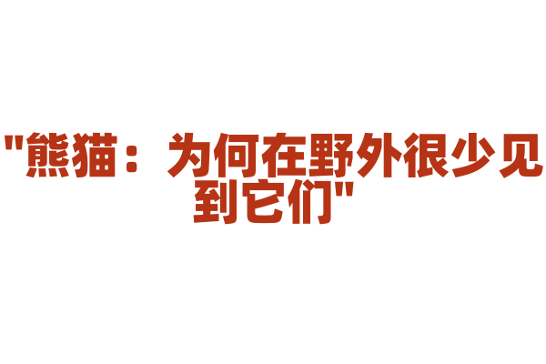 "熊猫：为何在野外很少见到它们"